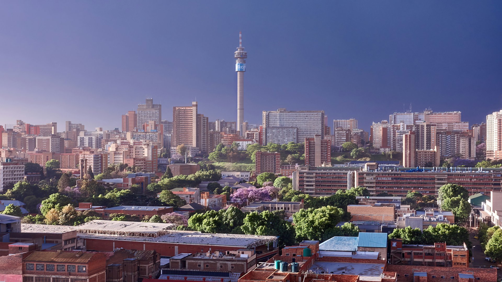 A Western Visitor’s Guide to Johannesburg