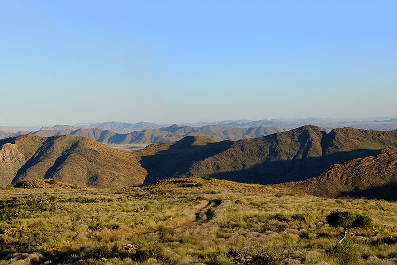 Fiebre peligrosa en Zimbabue