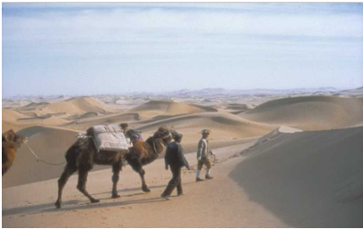 Global Rescue sponsors expedition to view endangered camel in the Gobi