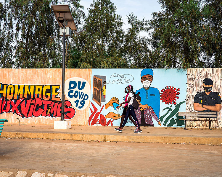 Coronavirus: Pandemic or Endemic?