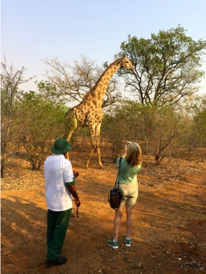 ¡Ataque de jirafas!