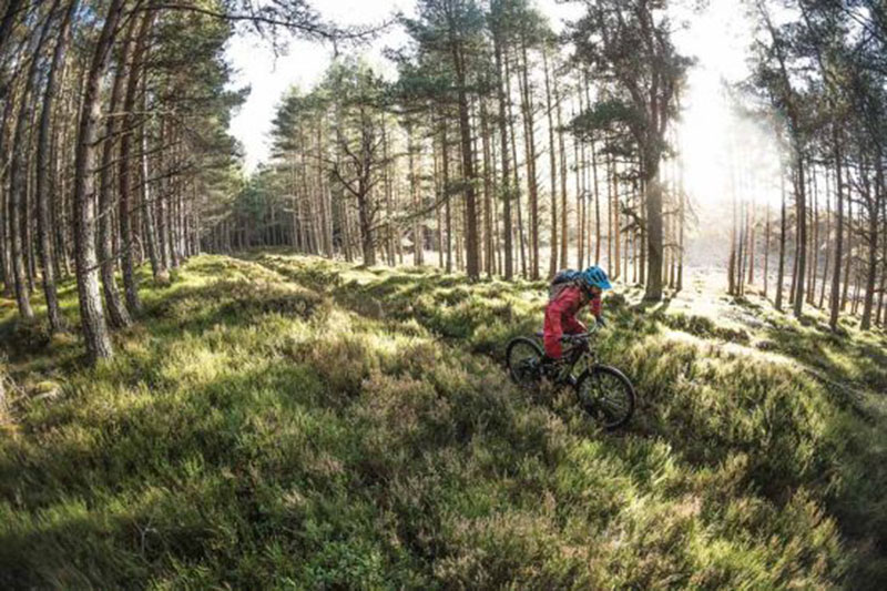 Cairngorms-Tour-Gallery-Ross-Bell