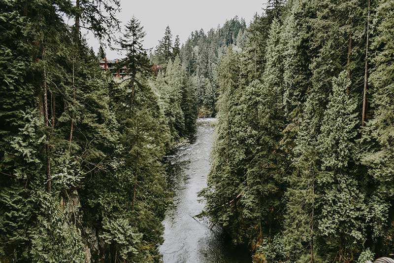 Capilano-Suspension-Bridge-Park-in-West-Vancouver,-Canada