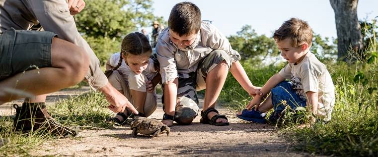 Educación en la carretera: Las mejores ideas para unas vacaciones en familia