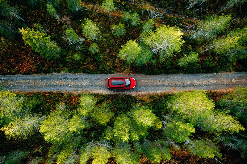 a drone shot of a red car travelling on a route in the middle of the jungle.