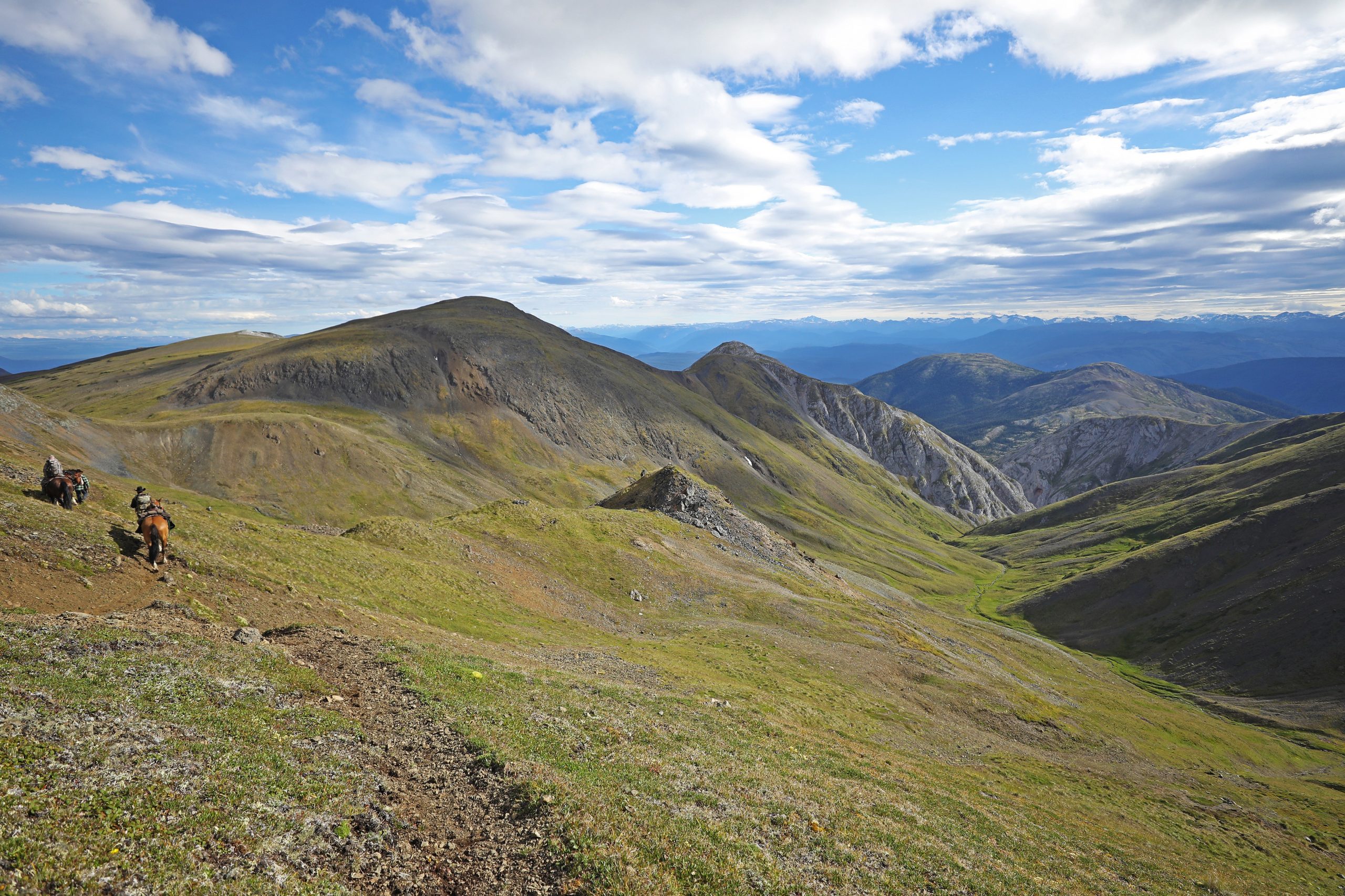 Aplastado por un caballo en la Columbia Británica